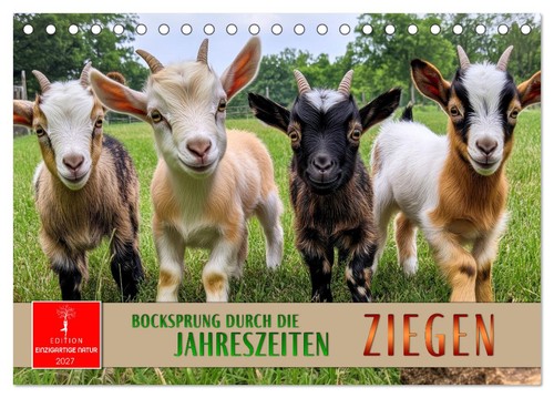Ziegen bocksprung durch - ziegen,