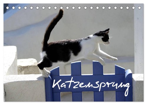 Katzensprung tischkalender - katzensprung, (tischkalender