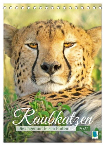 Raubkatzen die jäger auf - raubkatzen:,
